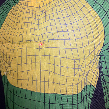 TASER Pulse 2 Review: Lynx Defense