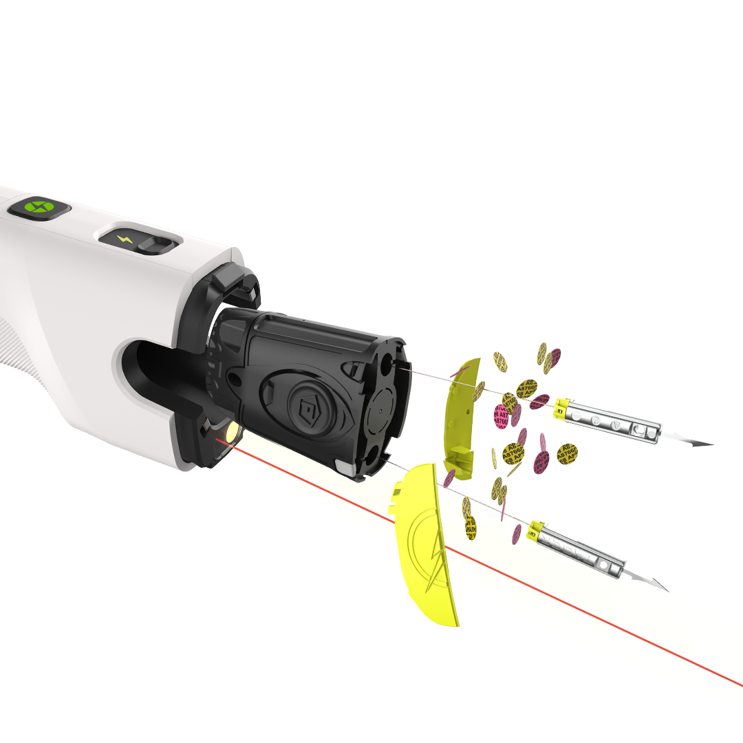 Bolt 2