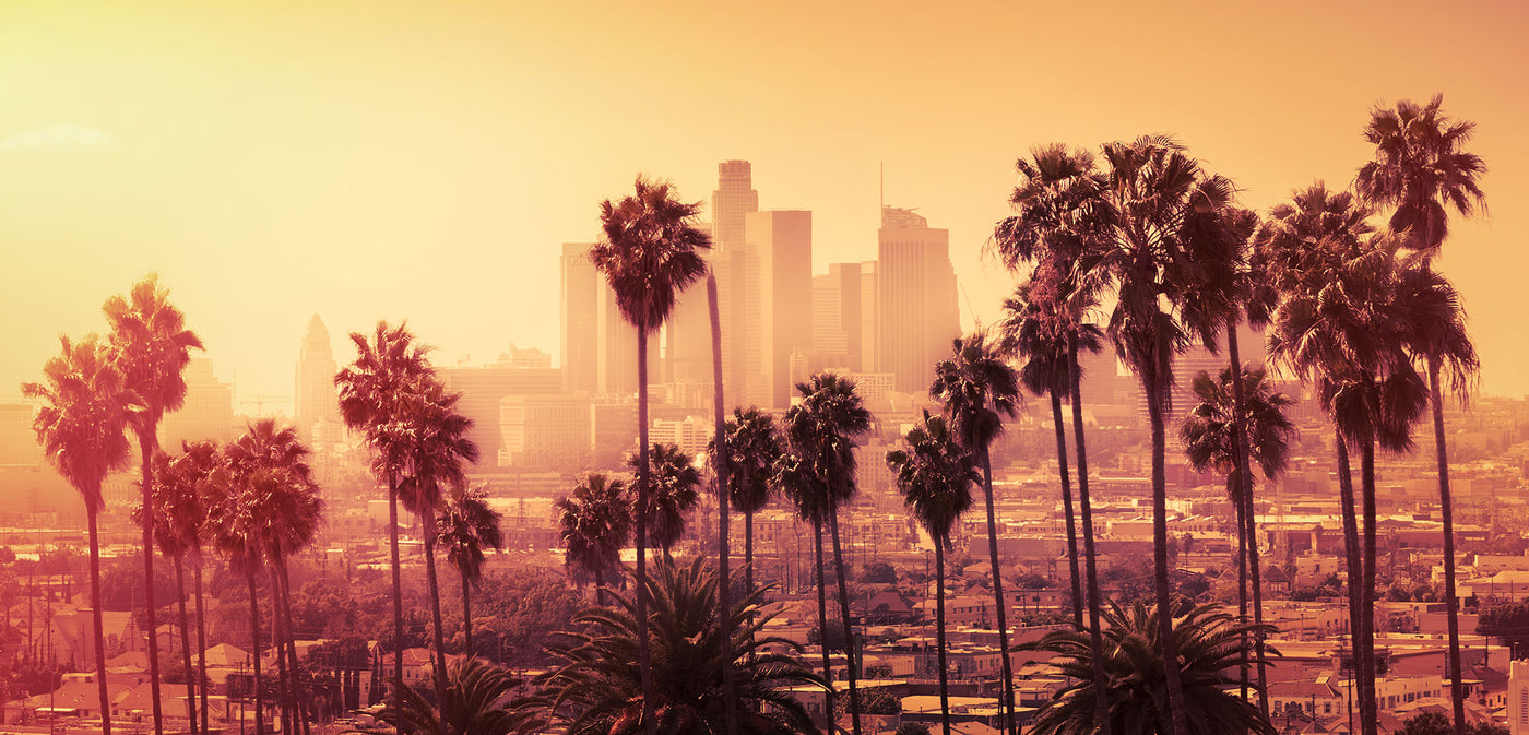 Is It Illegal To Carry A Taser In California