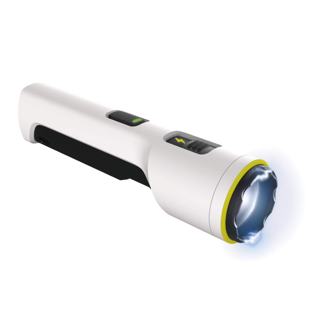 Police Taser Flashlight